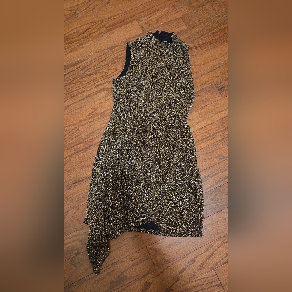 Aqua brand small Gold and black sequin dress